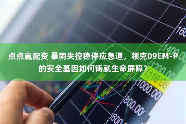 点点赢配资 暴雨失控稳停应急道，领克09EM-P的安全基因如何铸就生命屏障？