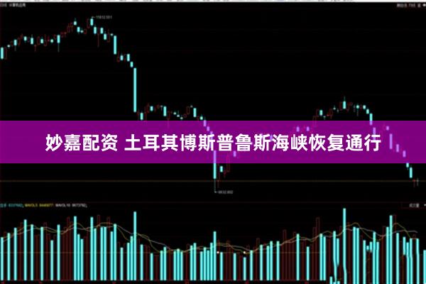 妙嘉配资 土耳其博斯普鲁斯海峡恢复通行