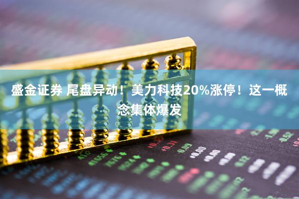 盛金证券 尾盘异动！美力科技20%涨停！这一概念集体爆发